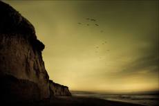 10934039_1588845254681454_6102035416880489314_n